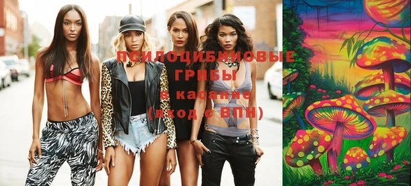 амф Вязьма