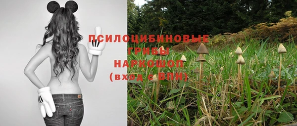 амф Вязьма