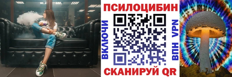 Галлюциногенные грибы Psilocybine cubensis  Купить где  Себеж 